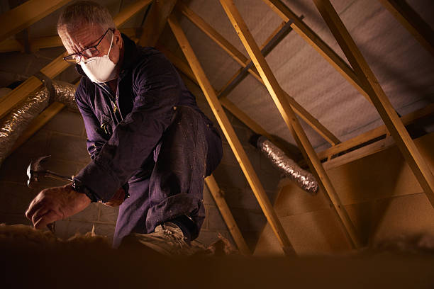 Best Insulation Maintenance and Repair in Cape May Court House, NJ